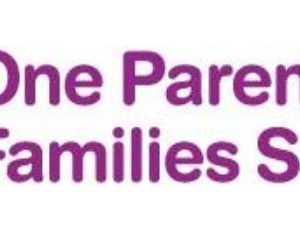 Single Parent Survey