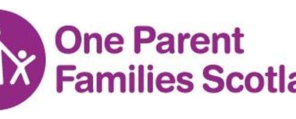 Single Parent Survey