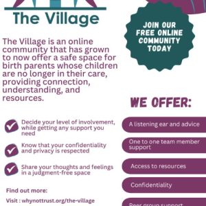 The Village – An Online Community